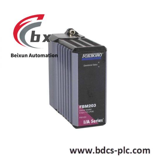 FOXBORO 0702075B SF0621C313