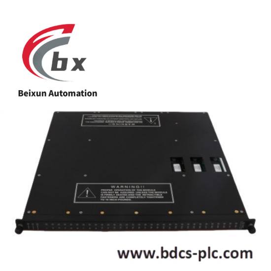 Triconex A06B-6096-H202