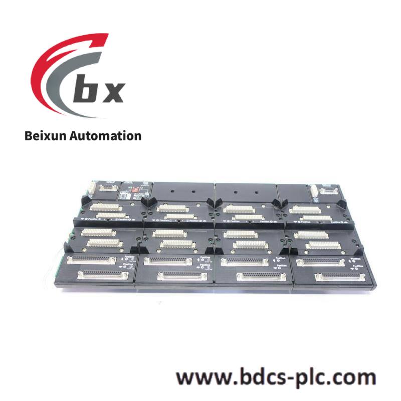 FOXBORO P0700TWFBM21