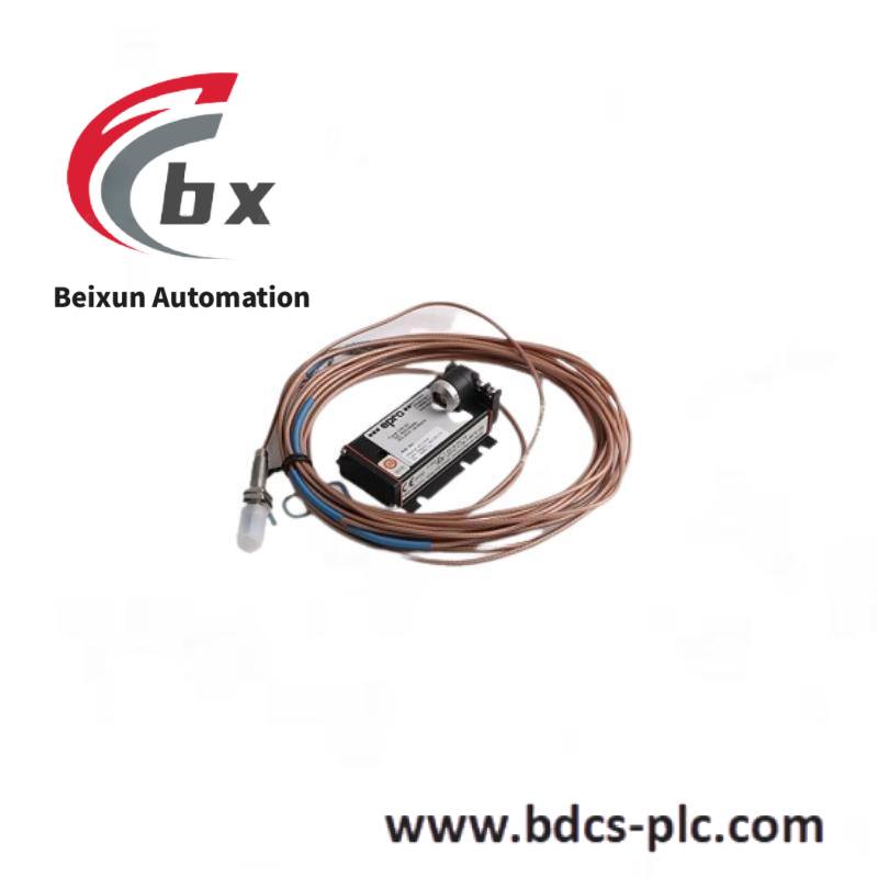 Emerson R2X4N1S1B2T0A