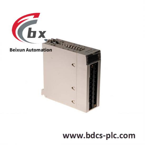 Schneider X80-D BMXAMI0410