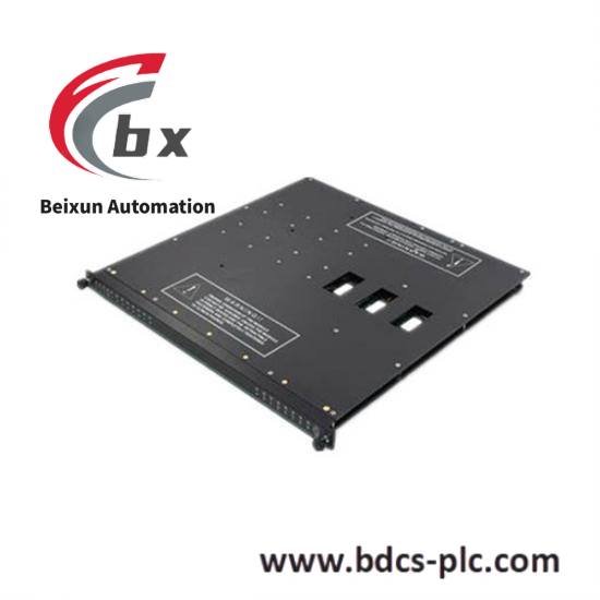 TRICONEX 1600071-001