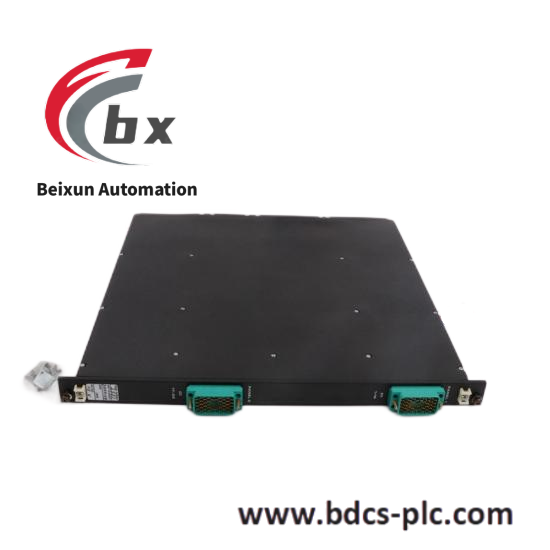 TRICONEX 810-048219-015