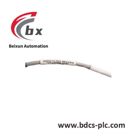 TRICONEX 810-099175-012