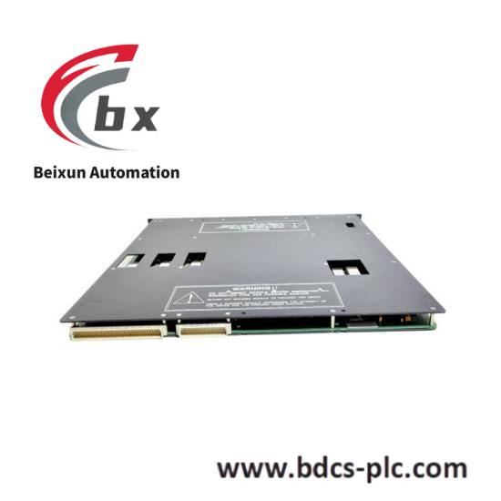 TRICONEX 810-099175-012