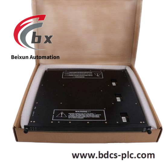 TRICONEX TRICONEX 3704E