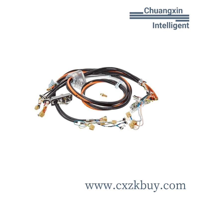 ABB 3HAC029896-024