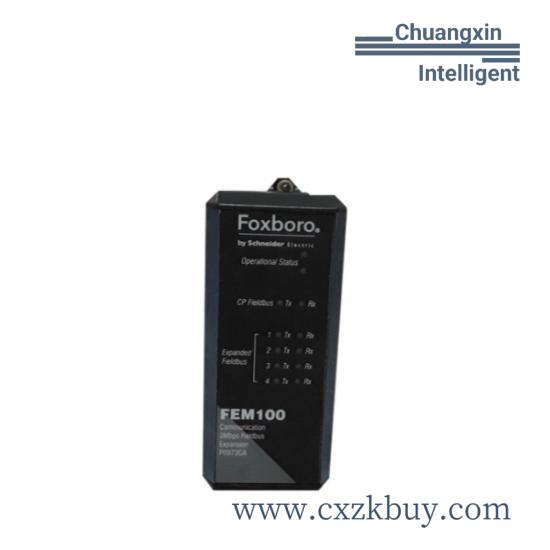   FEM100 P0973CA
