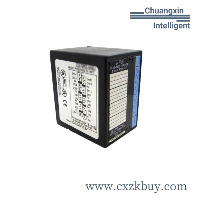 GE IC670ALG310