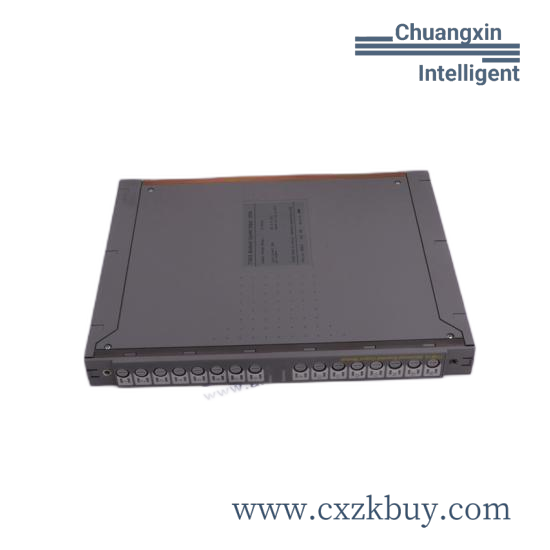ICS TRIPLEX T8111C