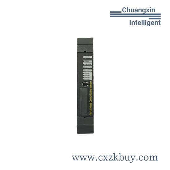 ICS TRIPLEX T8160