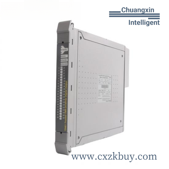ICS TRIPLEX T8461