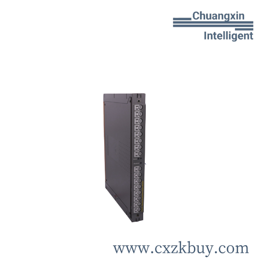 ICS TRIPLEX TC-305-01-5M0