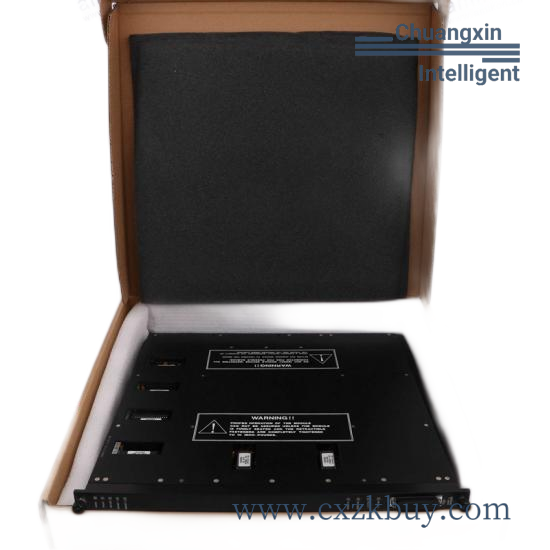 TRICONEX D06603