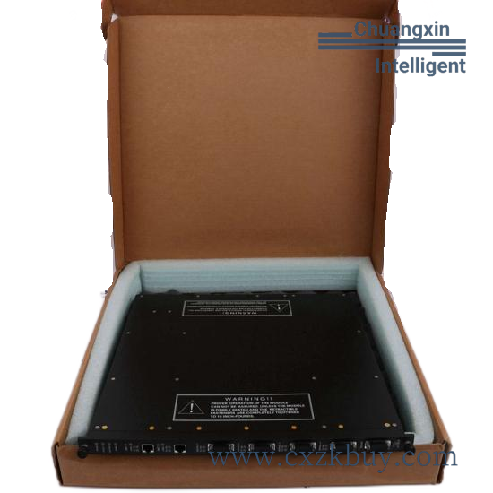 Invensys Triconex 9761-210