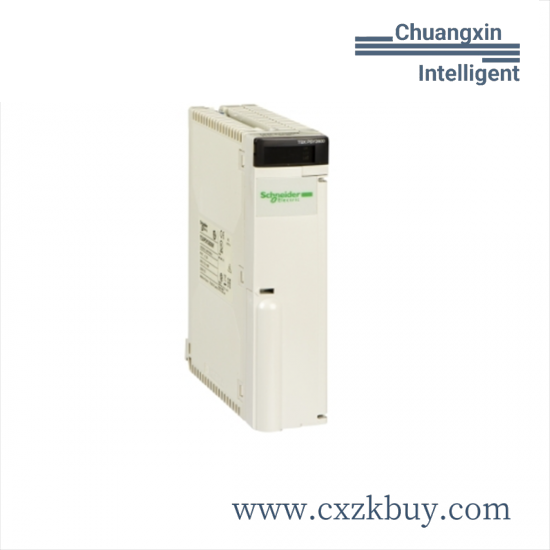 SCHNEIDER AS-BDEP-218
