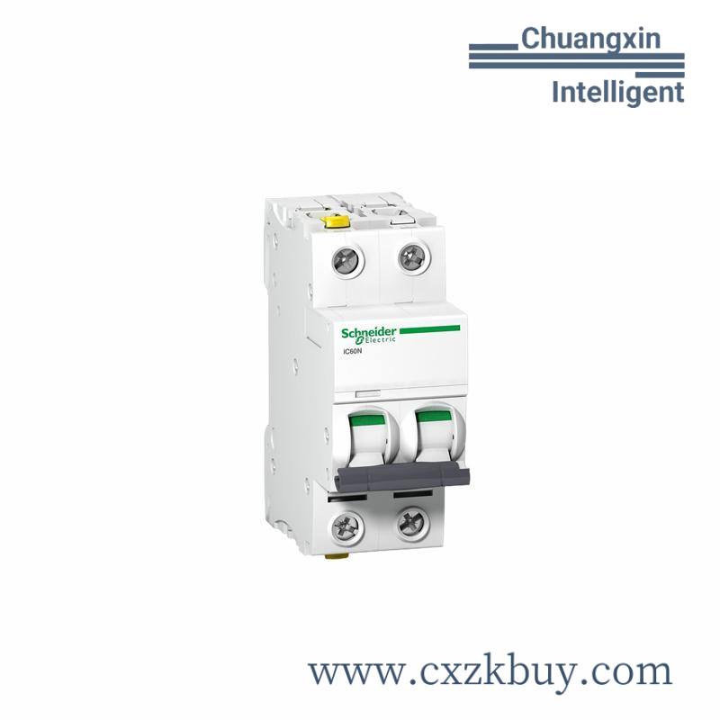 SCHNEIDER C65N 1P C10