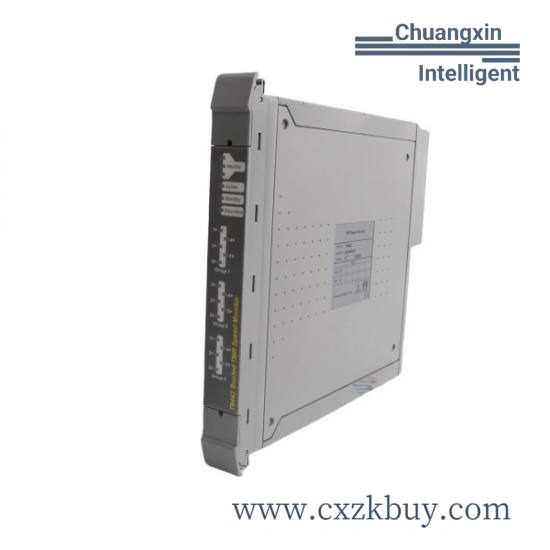 ICS Triplex 1433/09232486825