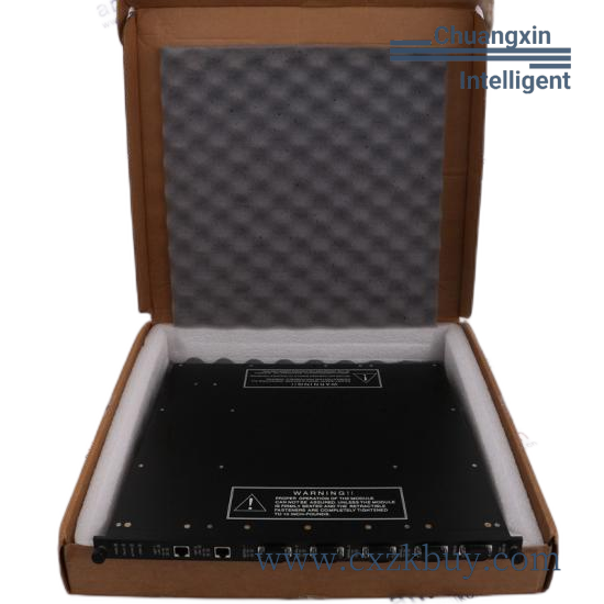 TRICON 9765-210