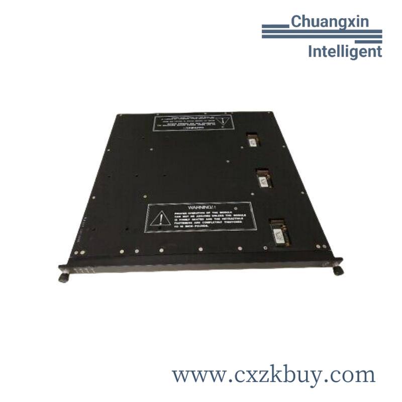TRICONEX A20B-1000-0842