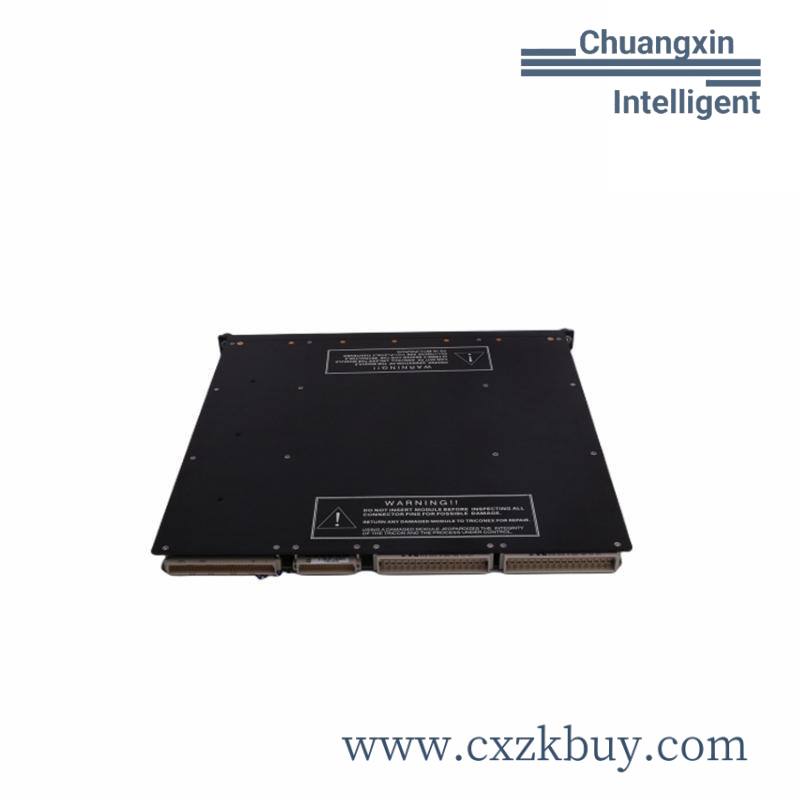 TRICONEX AO2481