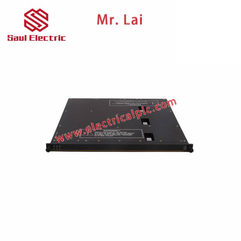 TRICONEX MA2211-100