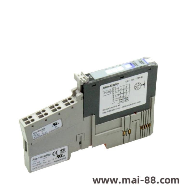 Allen Bradley 1794-IF2X0F2I