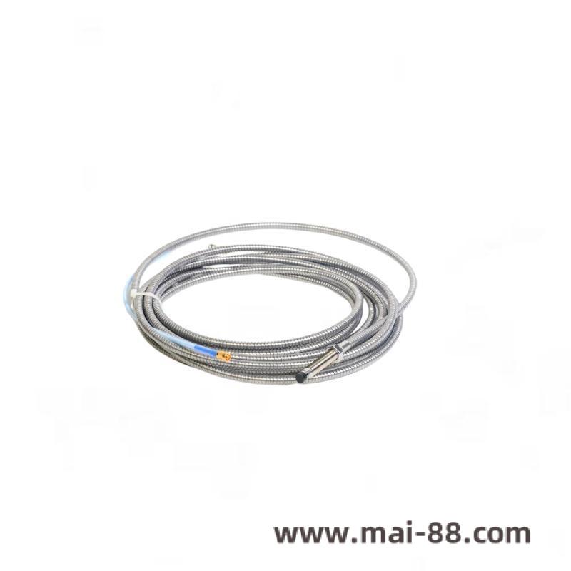 Machinery Protection Probe