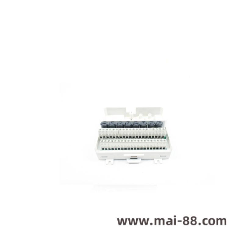 ABB DI810/TU838 terminal connections