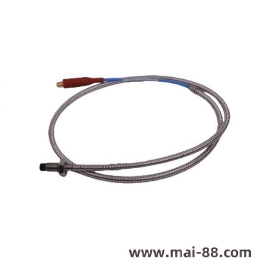 BENTLY module connectivity