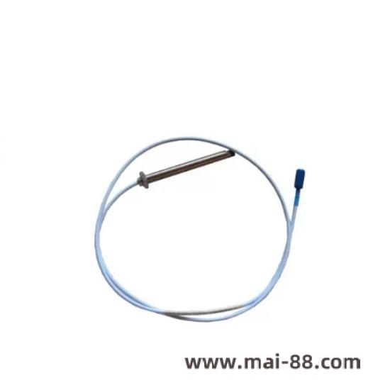 Bently Nevada Proximity Probes