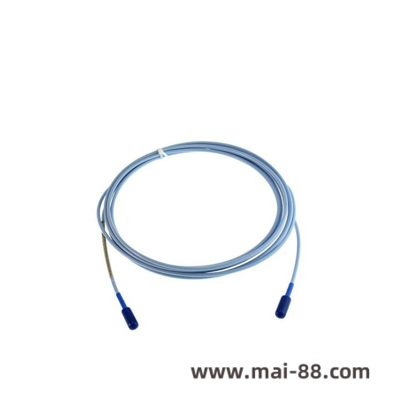 Bently Nevada probe with extension cable