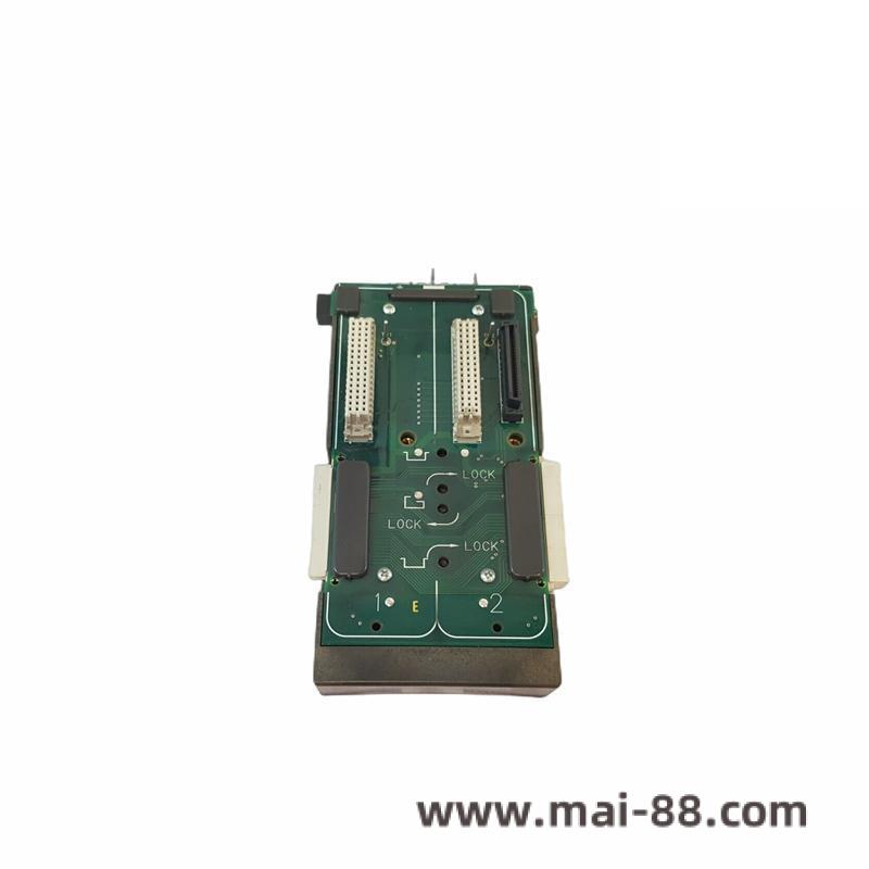 Emerson IC200TBX228