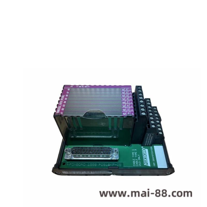FOXBORO P0700TT