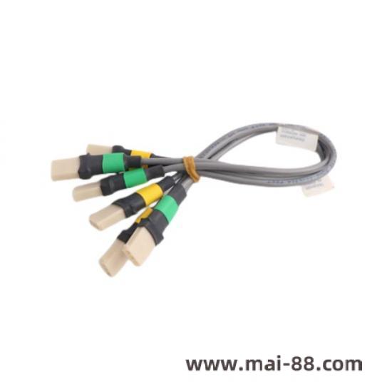 C0136-HZ Control Module