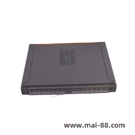 TRICONEX 8111 Module Structure