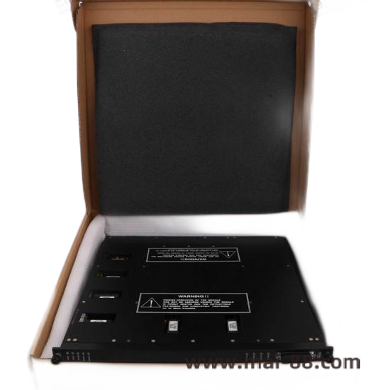 TRICONEX 9662-610 Field Termination