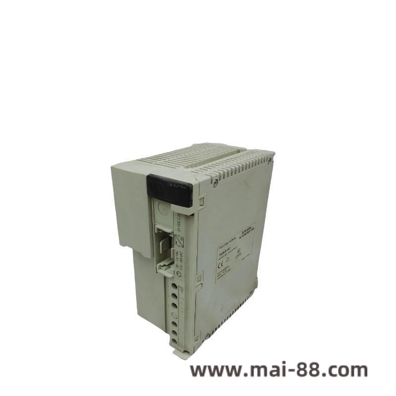 Modicon DO Module Industrial Installation