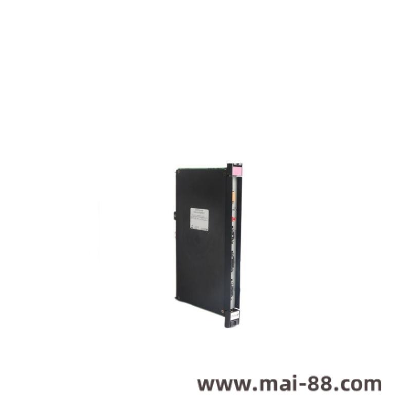 Module terminal details