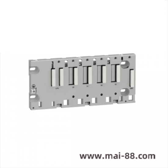 Schneider Module Rack Mount