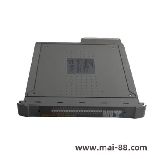 ICS Triplex T8141 Module