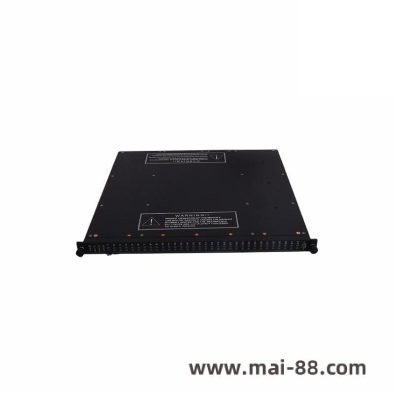 TRICONEX 4507 Front View