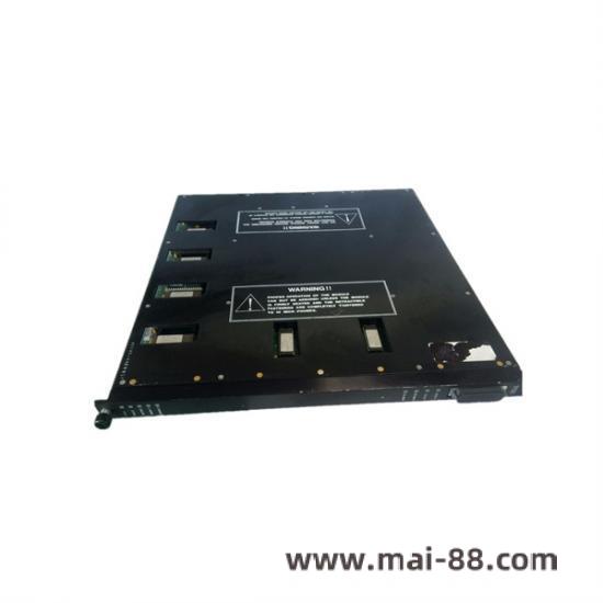 TRICONEX 8405N Terminal Detail