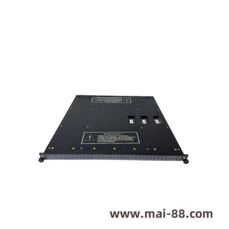 TRICONEX 3636R Software Interface