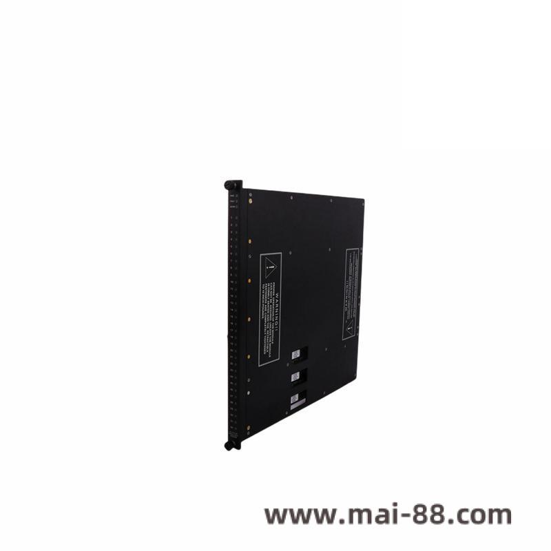 TRICONEX 4000093-110N Side View