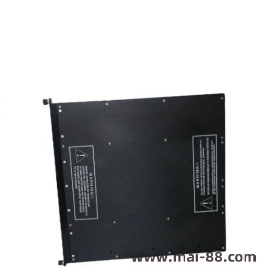TRICONEX 4000093-110N Connector Detail