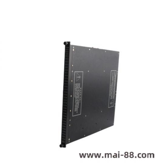 TRICONEX 4000093-110N Front View