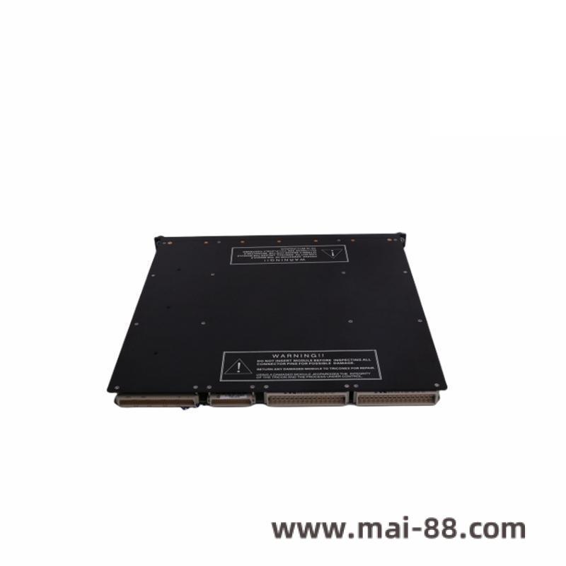 TRICONEX AO2481 Module