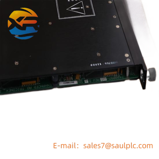 TRICONEX DO2401