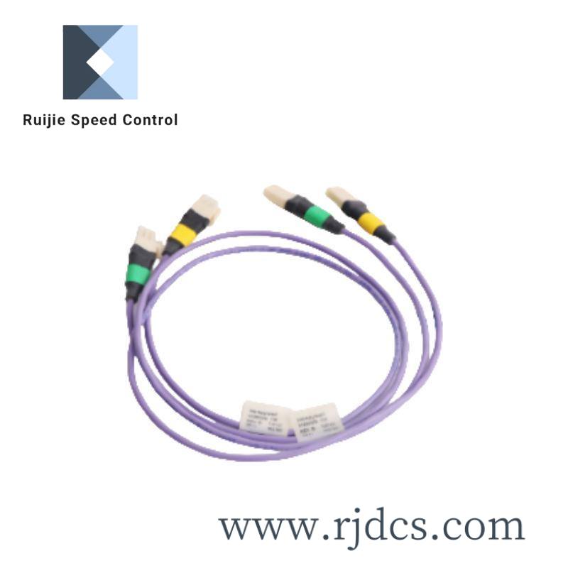 HONEYWELL 6580100019